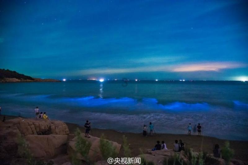 加入请的普贤菩萨可以贴在卧室门上吗?知识星球,开启知识分享之旅
